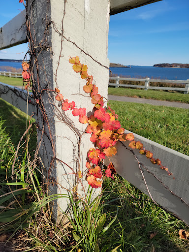 Fortress «Fort Preble», reviews and photos, Bunker Lane, South Portland, ME 04106, USA