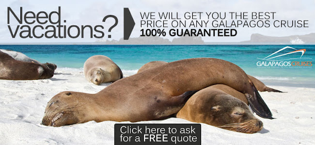 Galapagos Islands Cruises - Agencia de viajes