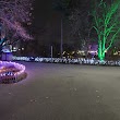 Wild Lights at the STL Zoo