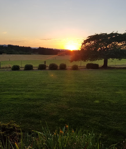 Golf Course «Chehalem Glenn Golf Course», reviews and photos, 4501 E Fernwood Rd, Newberg, OR 97132, USA