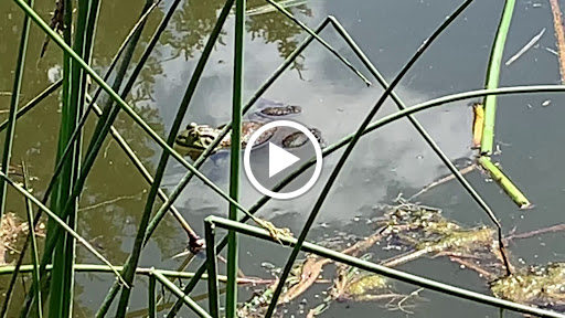 Golf Course «Sah-Hah-Lee Golf Course», reviews and photos, 17104 SE 130th Ave, Clackamas, OR 97015, USA