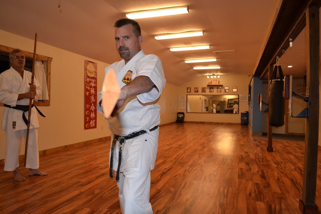 Franz Karate Auburn