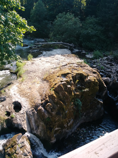 Marina «Boston Harbor Marina», reviews and photos, 312 73rd Ave NE, Olympia, WA 98506, USA