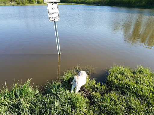 Dog Park «Beck Lake Off-Leash Dog Area», reviews and photos, 9700 Gloria Ct, Glenview, IL 60025, USA