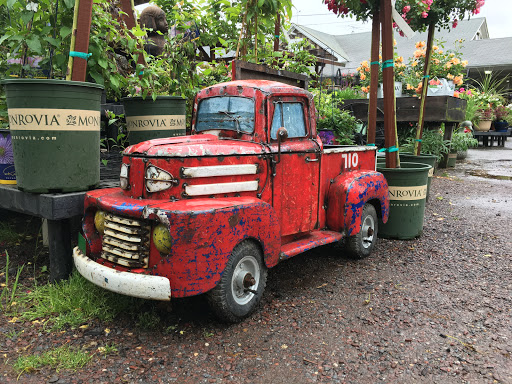 Florist «Bayport Flower Houses, Inc.», reviews and photos, 940 Montauk Hwy, Bayport, NY 11705, USA