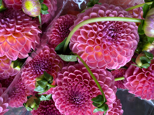 Florist «Sequoia Floral International», reviews and photos, 3245 Santa Rosa Ave, Santa Rosa, CA 95407, USA