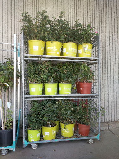 Home Improvement Store «The Home Depot», reviews and photos, 955 Bloomfield Ave, Clifton, NJ 07012, USA