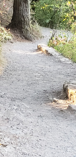 Tourist Attraction «Bridal Veil Falls», reviews and photos, E Crown Point Hwy, Bridal Veil, OR 97010, USA