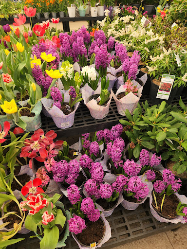 Discount Store «Walmart», reviews and photos, 80 Town Line Rd, Rocky Hill, CT 06067, USA