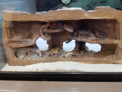 Pet Supply Store «Petco Animal Supplies», reviews and photos, 6137 Mid Rivers Mall Dr, St Charles, MO 63304, USA