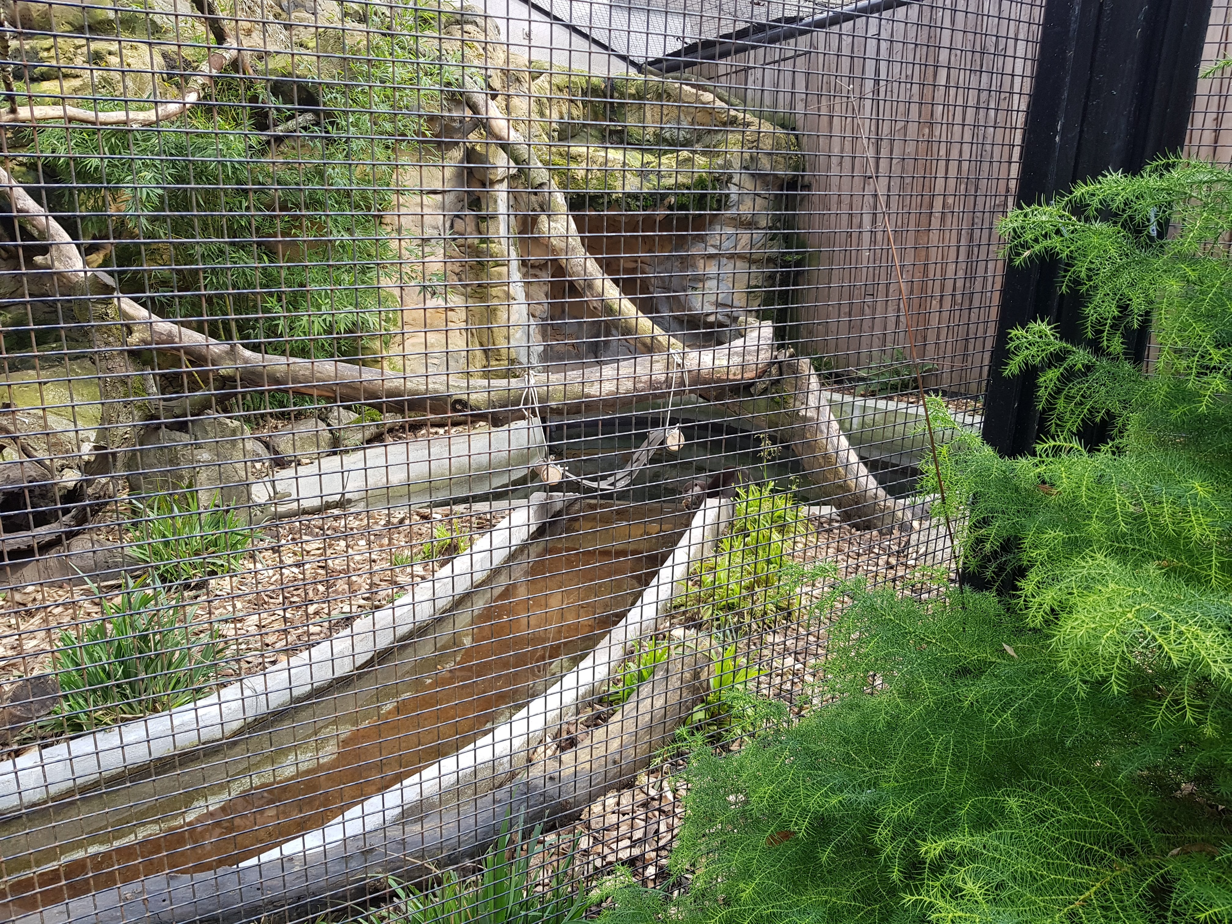 Photo n° 13 de l'avis de Charbel.l fait le 17/03/2019 à 23:45