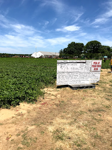Farm «Lewin Farms», reviews and photos, 812 Sound Ave, Calverton, NY 11933, USA