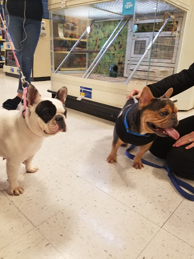 Pet Supply Store «PetSmart», reviews and photos, 2309 I-20, Grand Prairie, TX 75052, USA