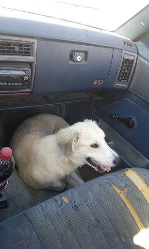 Department Store «Rural King», reviews and photos, 1320 James Ave, Bedford, IN 47421, USA