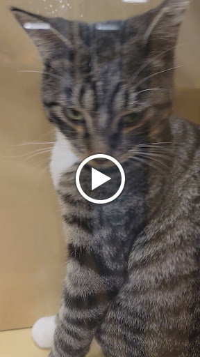 Pet Supply Store «Petco Animal Supplies», reviews and photos, 12163 Sheridan Blvd, Broomfield, CO 80020, USA