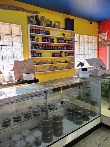 Pet Store «CUSTOM CREATURES PET SHOP», reviews and photos, 10727 N 19th Ave, Phoenix, AZ 85029, USA