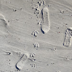 Photo n°10 de l'avis de Frank.c fait le 11/03/2024 à 06:06 sur le  meergut HOTELS à Kühlungsborn