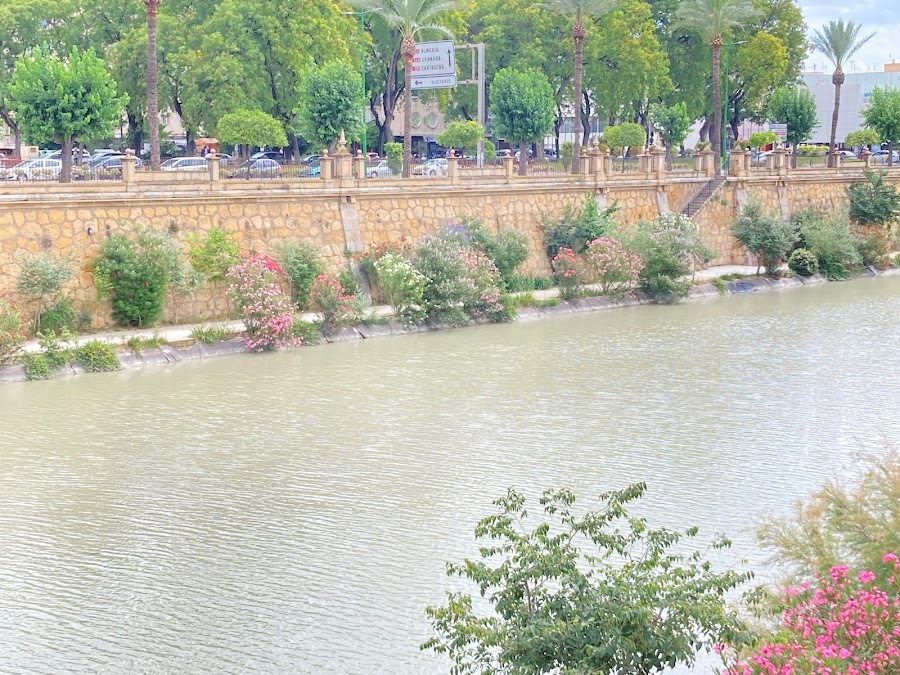 Jardín Plaza los Patos