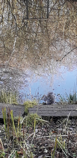 Adel Dam Nature Reserve