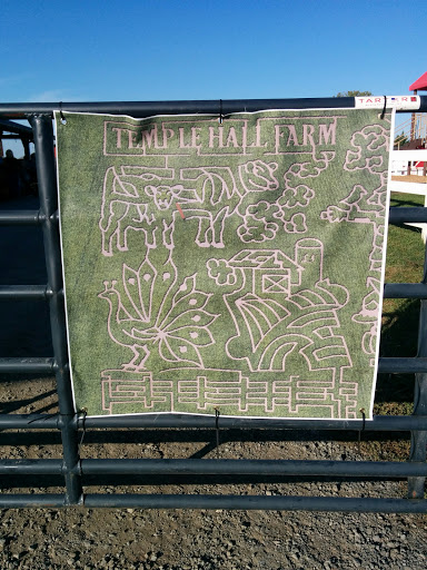 Festival «Temple Hall Fall Festival & Corn Maize», reviews and photos, 15855 Limestone School Rd, Leesburg, VA 20176, USA
