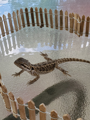 Pet Supply Store «PetSmart», reviews and photos, 475 Bank St, Waterbury, CT 06708, USA