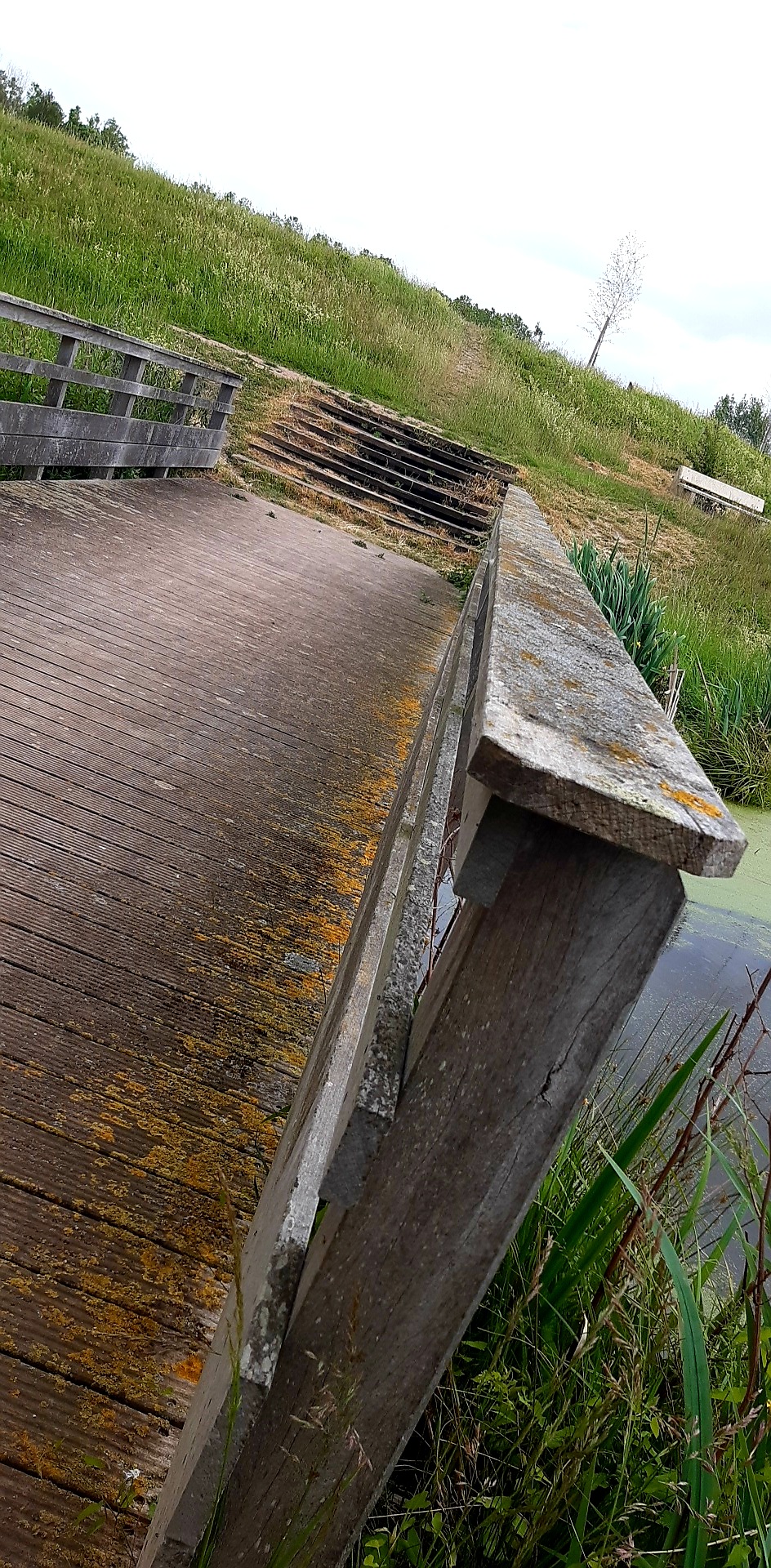 Photo n° 24 de l'avis de Lore.e fait le 24/05/2020 à 16:12