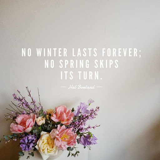 Florist «A Village of Flowers», reviews and photos, 1712 21st Ave S, Nashville, TN 37212, USA