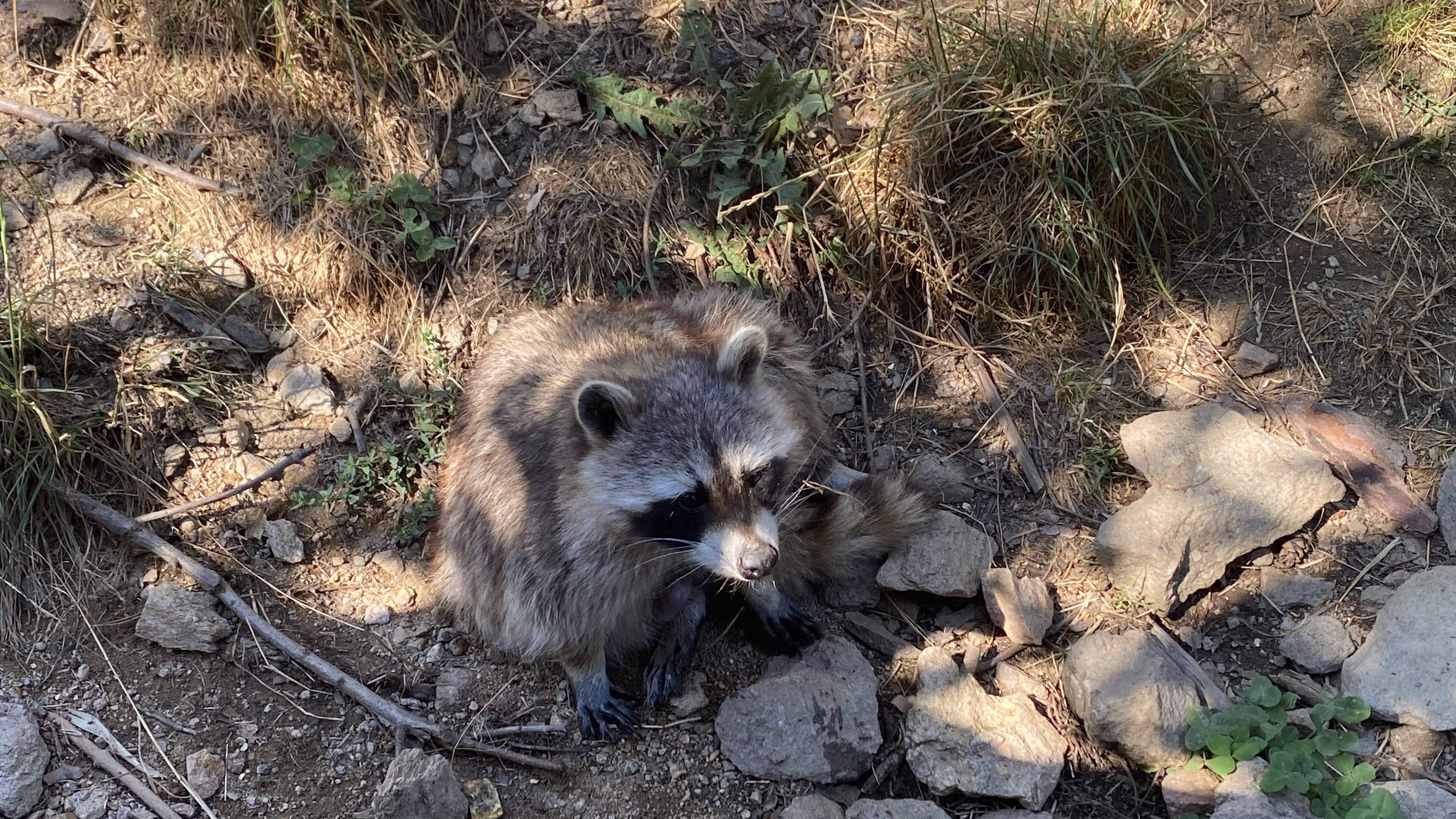 Photo n° 19 de l'avis de Olivier.e fait le 06/08/2022 à 17:29