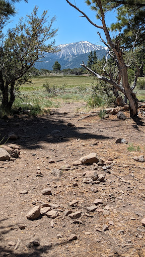 Whites Creek Dry Pond Trailhead