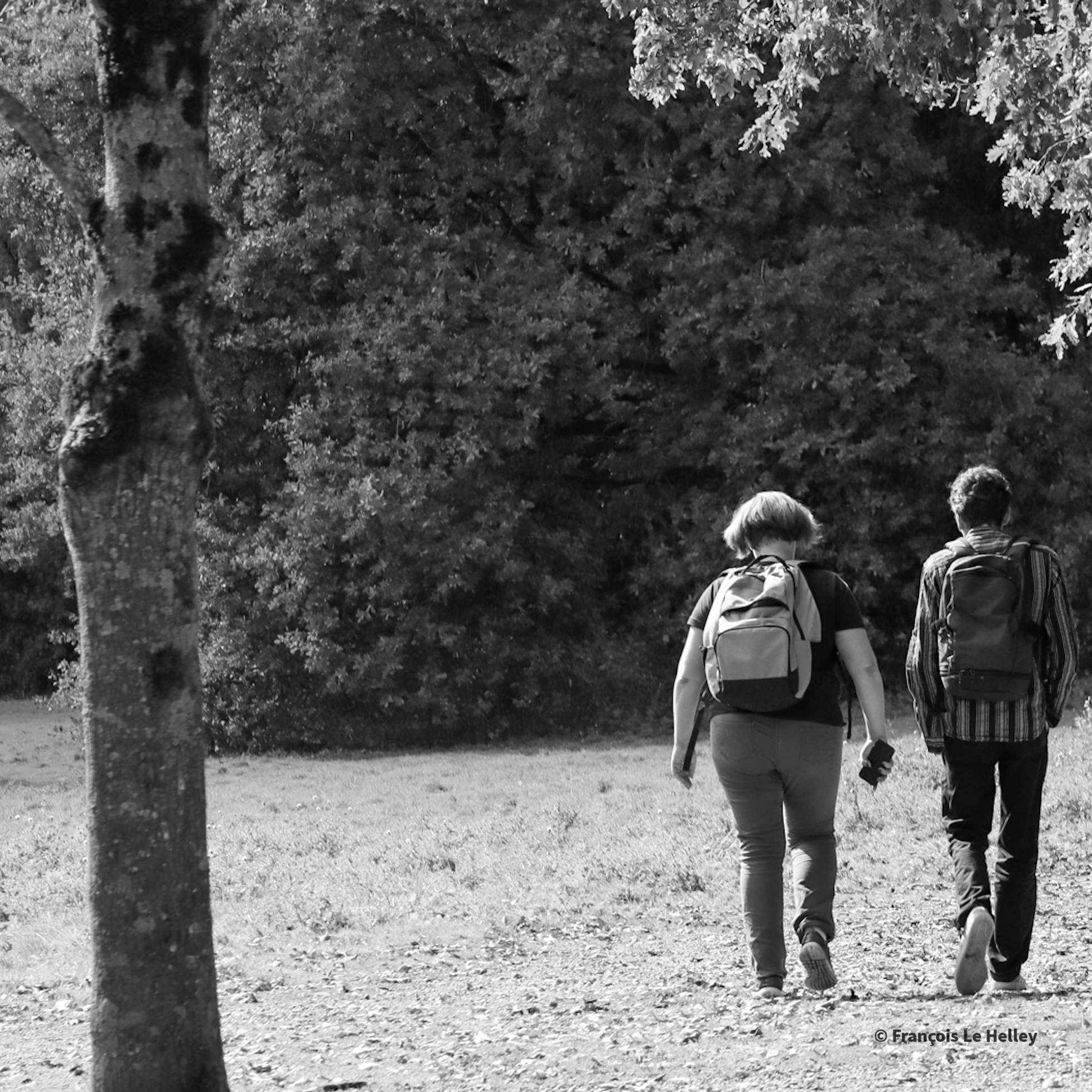 Photo n° 17 de l'avis de François.e fait le 20/09/2023 à 12:12
