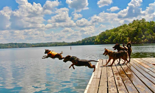 2521 10th St E, Tuscaloosa, AL 35404, USA