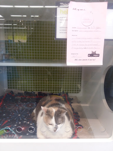 Pet Supply Store «Petco Animal Supplies», reviews and photos, 233 S Stewart Rd, Liberty, MO 64068, USA