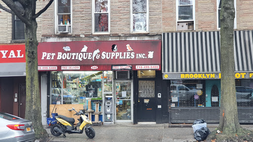 Pet Store «Pet Boutique and Supply», reviews and photos, 320 5th Ave, Brooklyn, NY 11215, USA