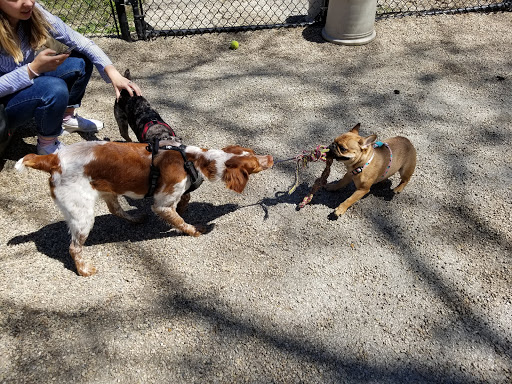 Dog Park «Wiggly Field Dog Friendly Area», reviews and photos, 2645 N Sheffield Ave, Chicago, IL 60614, USA