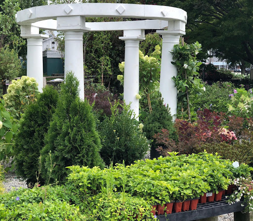 Florist «Yard Works», reviews and photos, 1309 Warwick Ave, Warwick, RI 02888, USA