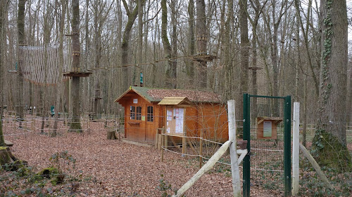 Forest Game à La Loge-Pomblin