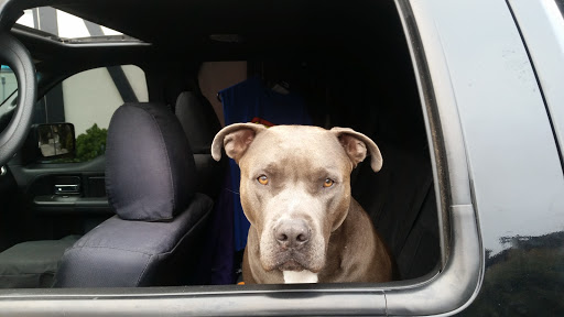 Hardware Store «Studio City Ace Hardware», reviews and photos, 13241 Ventura Blvd, Studio City, CA 91604, USA