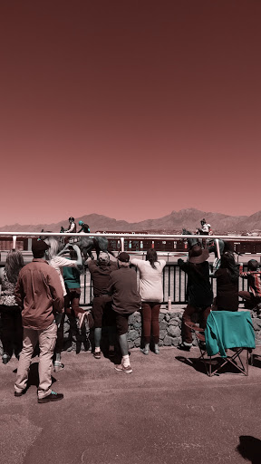 Casino «Sunland Park Racetrack & Casino», reviews and photos, 1200 Futurity Dr, Sunland Park, NM 88063, USA