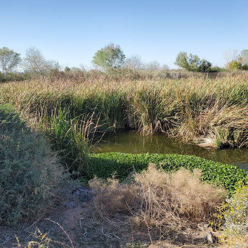 Tres Rios Wetlands