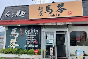 Bakin image