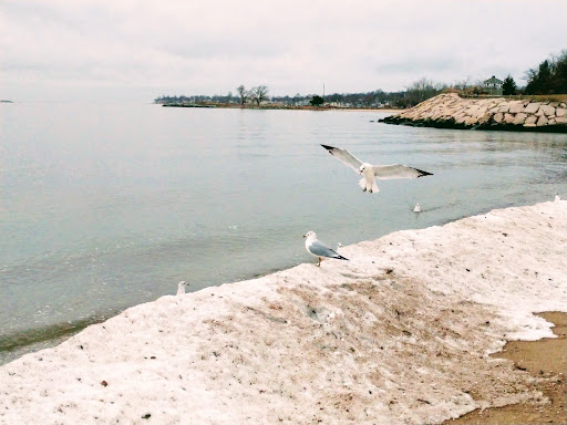 Park «Savin Rock Park», reviews and photos, 435 Captain Thomas Blvd, West Haven, CT 06516, USA