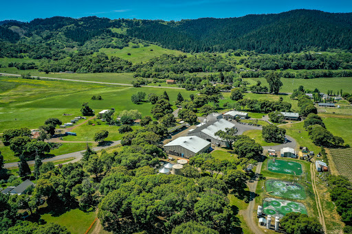 Brewery «Anderson Valley Brewing Co», reviews and photos, 17700 Boonville Rd, Boonville, CA 95415, USA