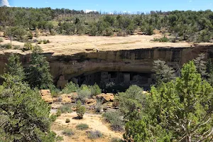 Mesa Verde National Park image