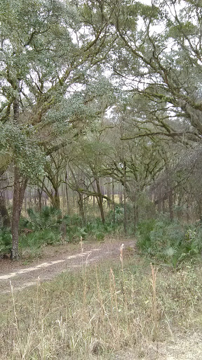 National Forest «Ocala National Forest», reviews and photos, 40929 FL-19, Umatilla, FL 32784, USA
