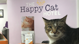 Best Cat Hotels Hartford Near You
