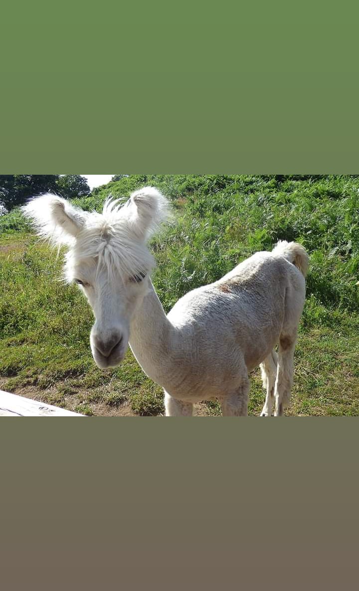 Photo n° 1 de l'avis de Ludivine.n fait le 19/07/2019 à 12:47