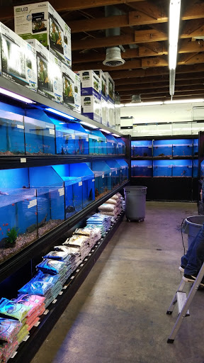 Pet Store «Super Pets», reviews and photos, 9403 E Las Tunas Dr, Temple City, CA 91780, USA