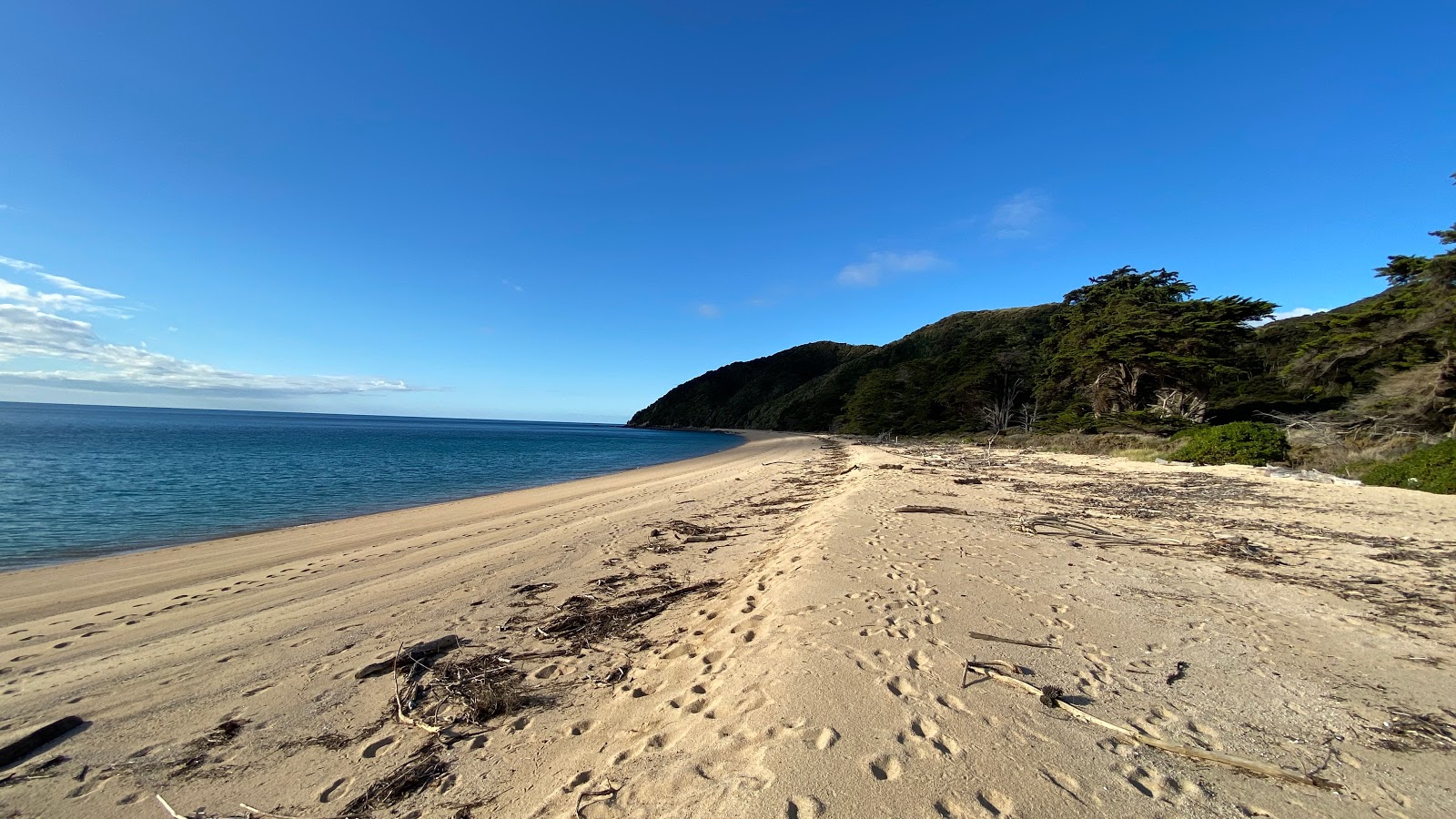 Foto di Whariwharangi Beach con una superficie del sabbia beige