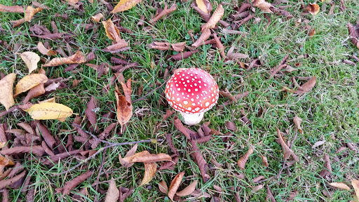 Park «Celebration Park», reviews and photos, 1095 S 324th St, Federal Way, WA 98003, USA