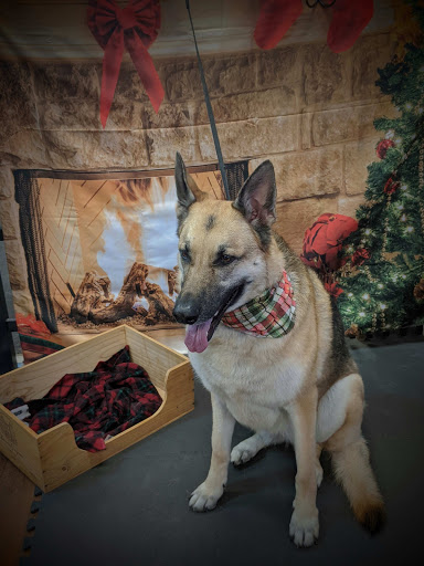 Pet Groomer «A Klassy Lassie, LLC», reviews and photos, 30 Old Jackson Rd, McDonough, GA 30252, USA